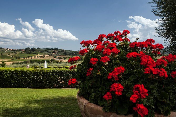 Menu with a View in the enchantment of the Tuscan hills - The Dinner Experience: What to Expect