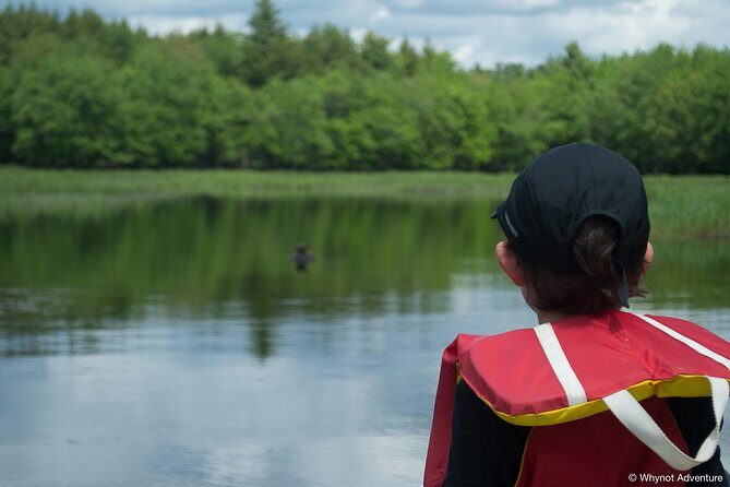 Mersey River Quickie Adventure - 2 Hours - The Experience: Pros and Cons