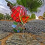 Mértola: Traditional Wine Tasting Experience - What’s Included & What Not