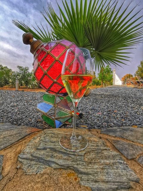 Mértola: Traditional Wine Tasting Experience - What’s Included & What Not