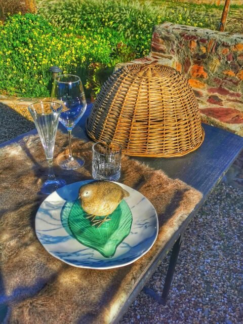 Mértola's Stunning Countryside Picnic - Who Is This Experience Perfect For?