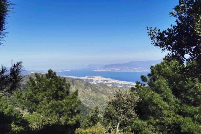 Messina: 360° City Tour with Cape Peloro and Mt. Dinnammare - A Day in Messina: What You Can Expect