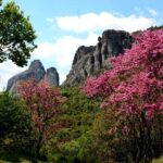 Meteora: Easy Hiking Adventure - How the Tour Begins and Ends