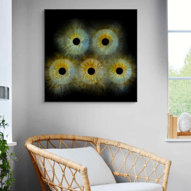 Metz: Your professional iris photography with framed print - Why This Experience Might Be Perfect for You