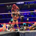 Mexican Wrestling: Experience Lucha Libre in Mexico City - What to Keep in Mind