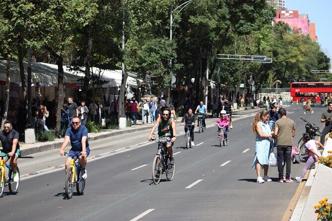 Mexico City Bike Rental - Exploring Mexico City by Bike: What to Expect