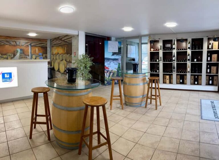 Mèze: Guided Tour of the Estate & Wine Tasting - Who Will Love This Tour?