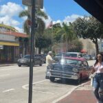 Miami City Half-Day Bus Tour of South Beach with Cruise Option - Who Should Consider This Tour?