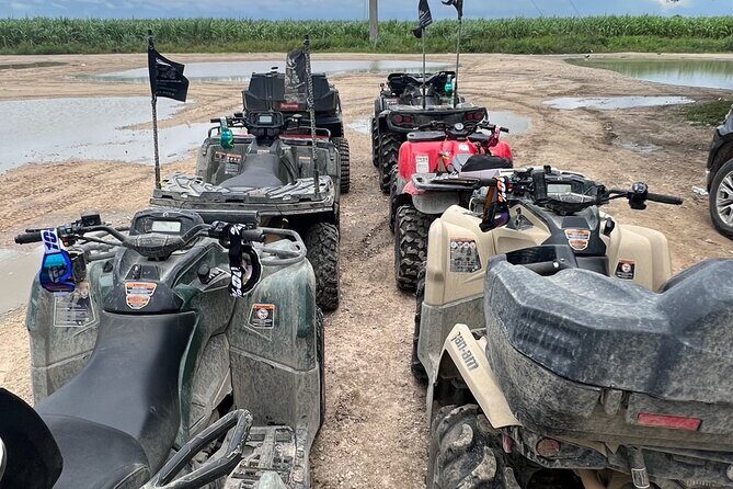 Miami Off Road ATV Rentals and Repairs - The Experience: A Closer Look