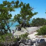 Miami to Key West Day Trip Transportation - The Real Value: What Does the Price Get You?