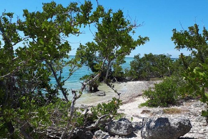 Miami to Key West Day Trip Transportation - The Real Value: What Does the Price Get You?