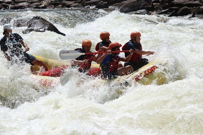 Middle Ocoee Whitewater Rafting near Chattanooga, TN - What Makes the Middle Ocoee Trip Special?