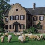 Middleton Place Plantation - 3 hour guided tour - hotel pickup - The Itinerary: Breaking Down the Day