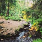 Midnight Sun and Campfire - National Park evening hike Stockholm - The Sum Up: Is This Experience Right for You?