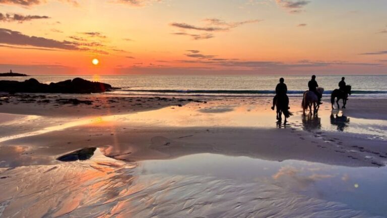 Midnight sun tour - What to Expect During the Tour