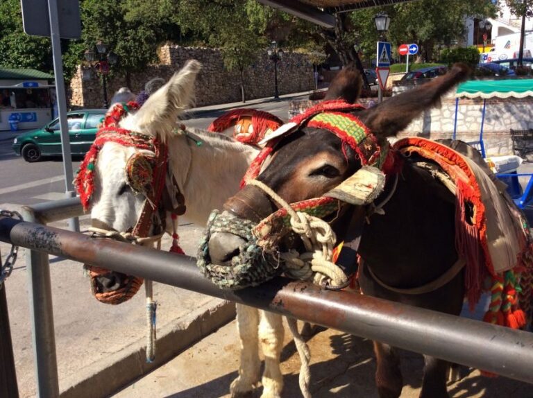 Mijas: Private Walking Tour - Detailed Breakdown of the Tour Experience