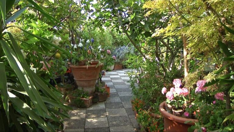 Milan: Fresh Pasta & Tiramisù Class in a Glamorous Home - Practical Details and Considerations