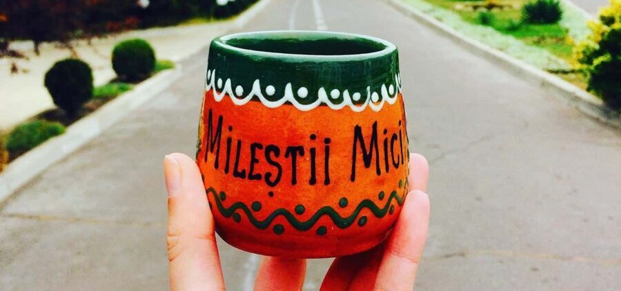 Milesti Mici winery Guinnessed World Records soviet museum - The Value of the Experience