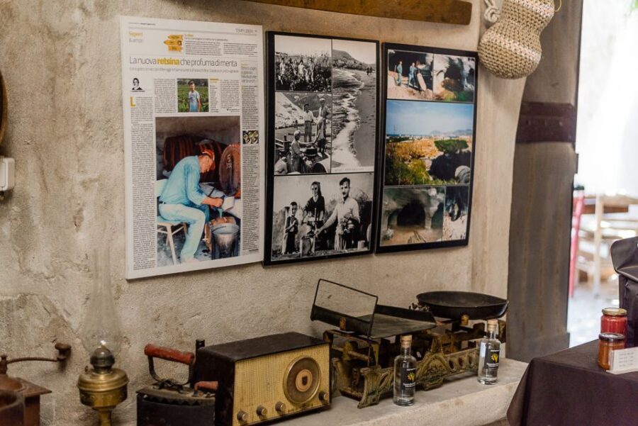 Milos Island: Kostantakis Winery Wine Tasting Experience - Who Will Love This Tour?