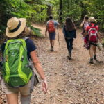 Mimosa Valley Trail: Explore Maroços - The Itinerary: A Peaceful Journey Through Rural Madeira