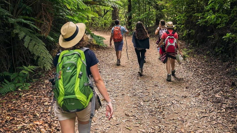 Mimosa Valley Trail: Explore Maroços - The Itinerary: A Peaceful Journey Through Rural Madeira