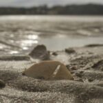 Mini Boat Tour with stop at Disappearing Island - Final Thoughts