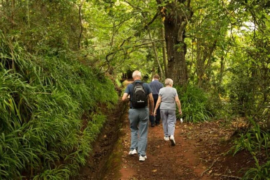 Mini Combo East Challenge - Levada and Jeep Safari - Starting with the Jeep Safari: Rugged Terrain and Scenic Drives