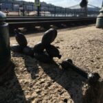 Mini Statue Hunt in Budapest Private Walking Tour - Why This Tour Works Well for Different Travelers