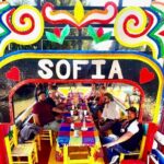 Mixology, Food, Wine and Beer Experience in Xochimilco - The Highlights