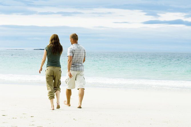 Mjelle Beach - Easy Day Hike to Bodos no 1 Beach, Northern Norway - Who Would Love This Tour?