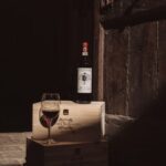 Mocenni Premium - Exploring the Mocenni Premium Experience in Depth