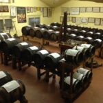 Modena: Balsamic Vinegar Cellar Tour, Tasting & Food Pairing - Final Thoughts