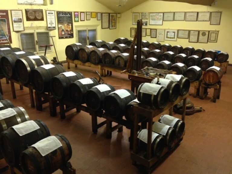 Modena: Balsamic Vinegar Cellar Tour, Tasting & Food Pairing - Final Thoughts