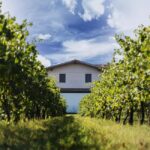 Modena: Balsamic Vinegar Tour, Parmigiano & Gelato Tasting - The Art of Balsamic Vinegar