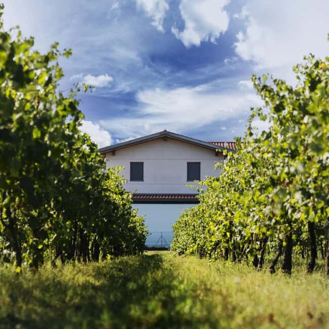 Modena: Balsamic Vinegar Tour, Parmigiano & Gelato Tasting - The Art of Balsamic Vinegar