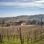 Modena: Cavedoni Balsamic Vinegar Tour & Tasting - Who Is This Tour Best For?