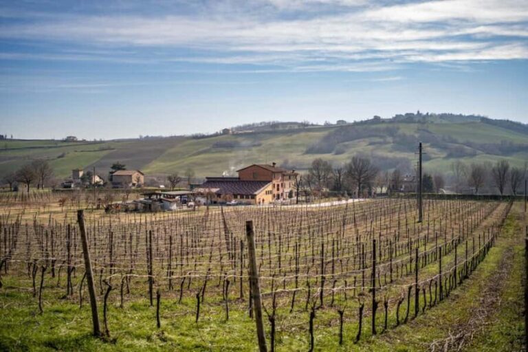 Modena: Cavedoni Balsamic Vinegar Tour & Tasting - Who Is This Tour Best For?