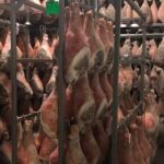 Modena Food:Prosciutto,Parmigiano,Balsamic,Wine,Lunch,Transport - The Included Amenities and Practical Details