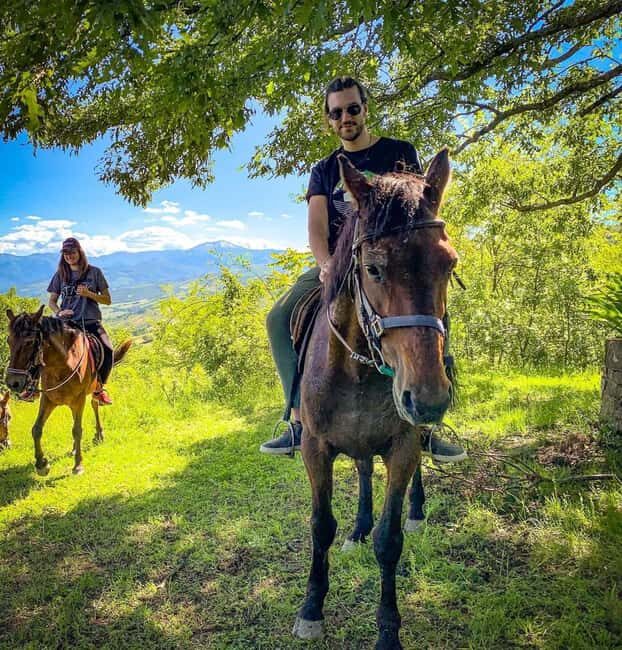 Modena: Horseback Riding Tour in the Apennines - Why This Tour Might Be a Good Fit for You