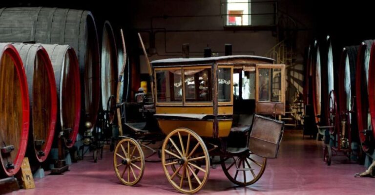 Modena: Lambrusco Wine Tasting and Cellar Tour - Who Should Consider This Tour?