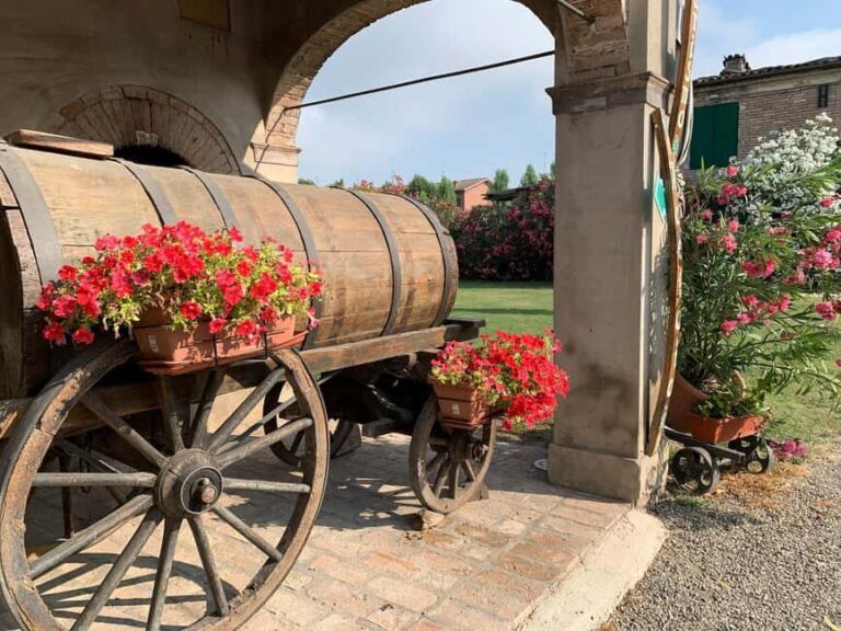 Modena: Visit and Tasting at an Antique Vinegar Cellar - How Does It Compare to Similar Experiences?