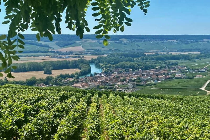 Moet et Chandon Veuve Clicquot Pommery Private Champagne - Practical Details & What It Means for You