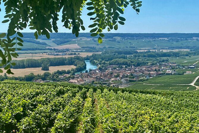 Moet et Chandon Veuve Clicquot Private Champagne trip from Paris - FAQs about the Champagne Private Day Trip from Paris