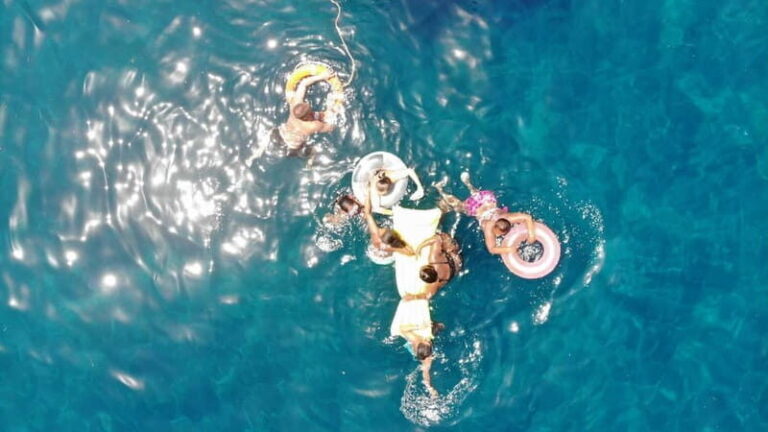 Mogan: Dolphin Watching Boat Trip with Swim Stop - Practical Details for Travelers