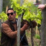 Moio della Civitella: Adopt a Vine and Grow Your Wine - The Experience in Practice