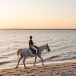 Moita: Private Horseback Riding On The Beach At Sunset - Exploring the Experience in Depth
