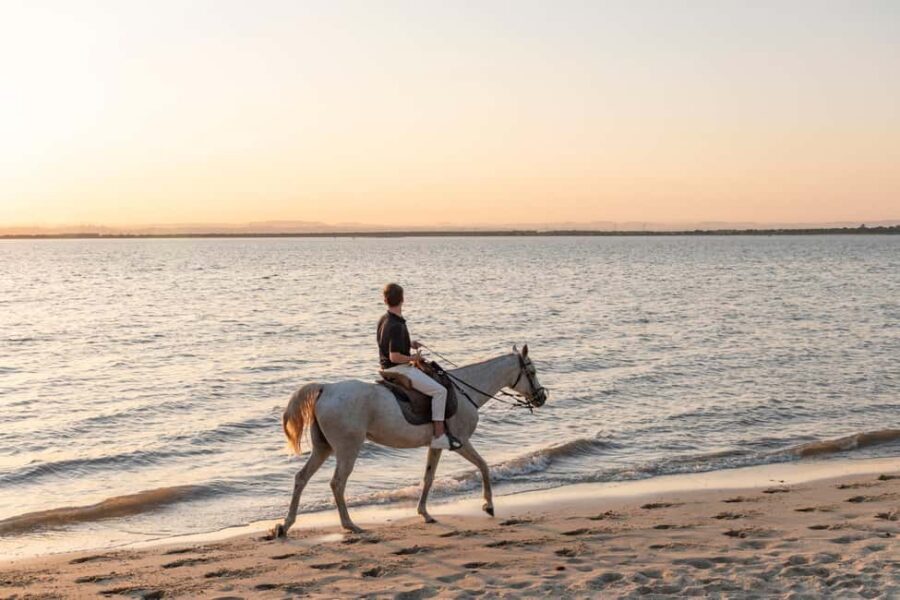 Moita: Private Horseback Riding On The Beach At Sunset - Exploring the Experience in Depth