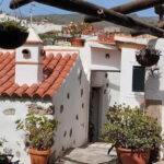 Mojo Workshop Cooking Class in Ancient Canarian Village - What Is the Mojo Workshop Cooking Class?