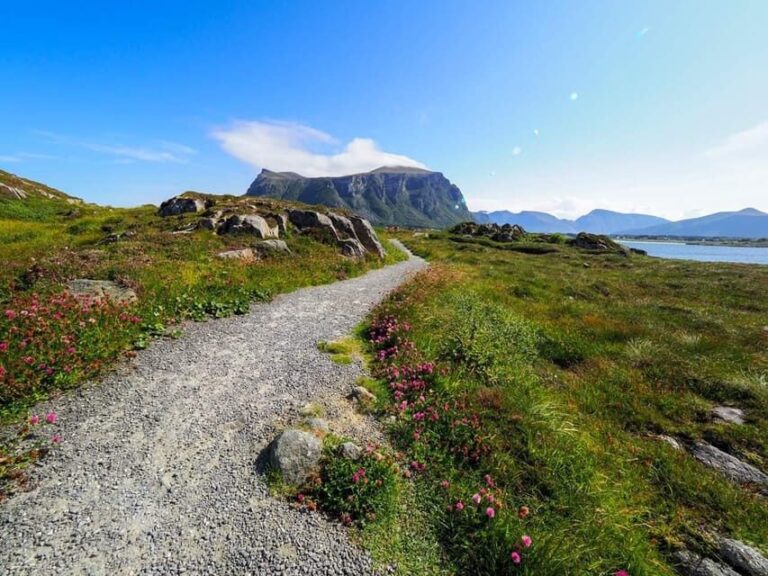 Molde - Get a feeling of the Atlantic Ocean - What Travelers Say