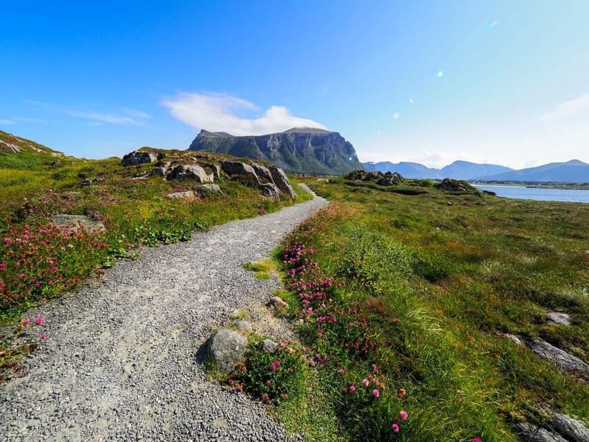 Molde - Get a feeling of the Atlantic Ocean - What Travelers Say
